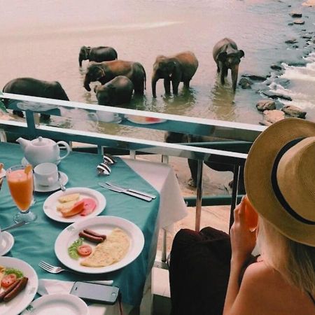 Hotel Elephant Park - New Deal! Half Off Airport Pickups Available Pinnawala  Eksteriør bilde