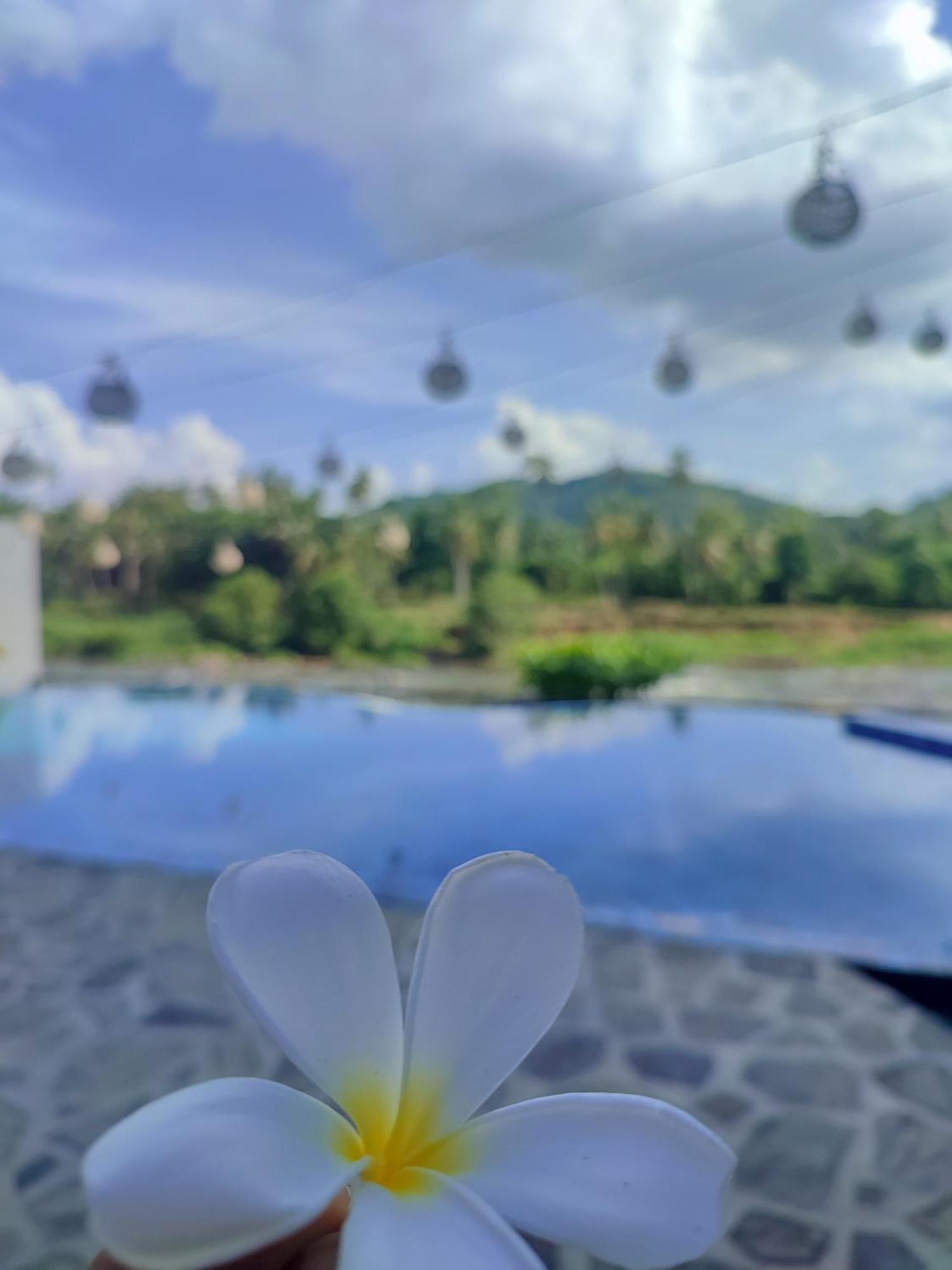 Hotel Elephant Park - New Deal! Half Off Airport Pickups Available Pinnawala  Eksteriør bilde