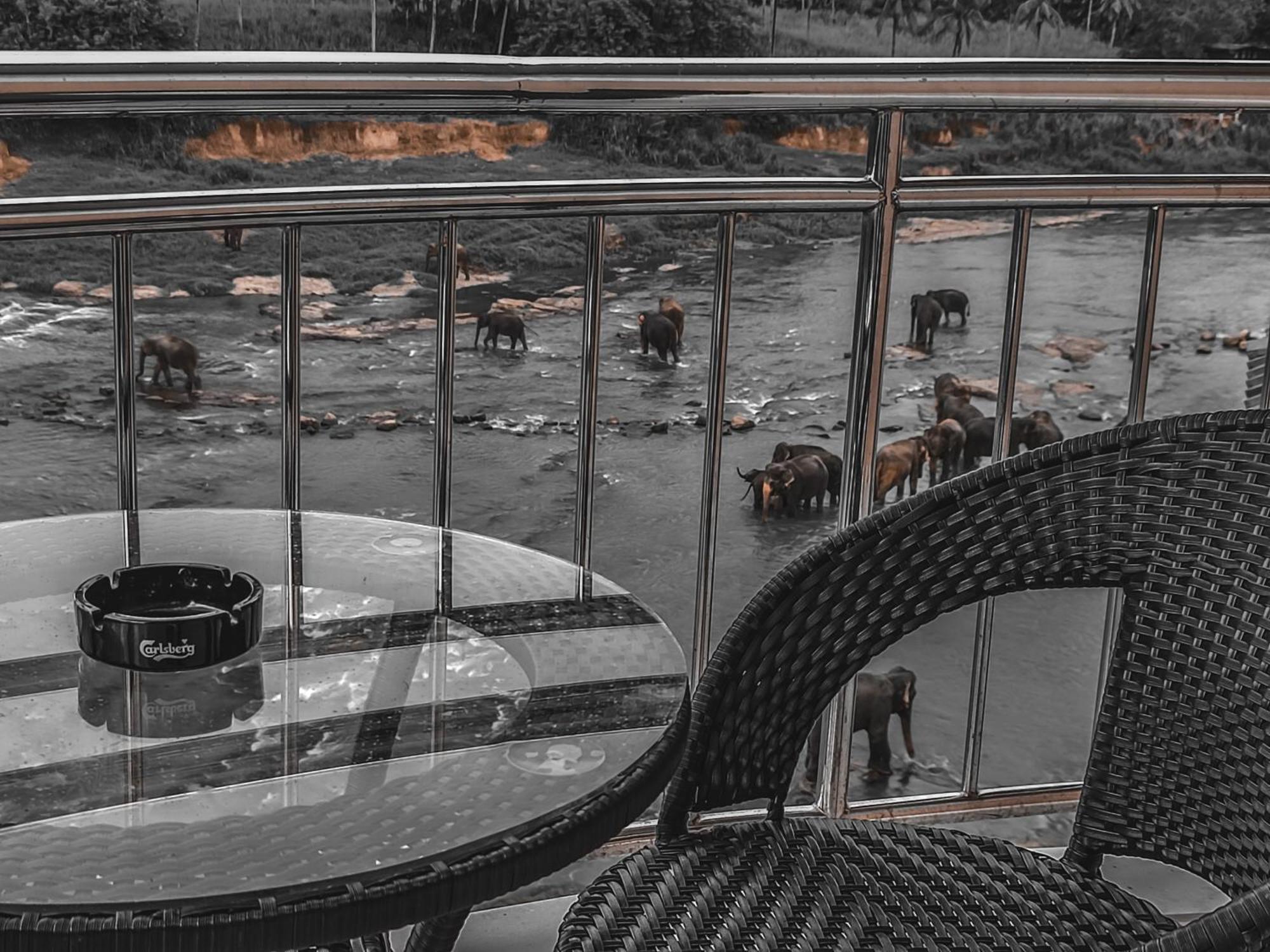 Hotel Elephant Park - New Deal! Half Off Airport Pickups Available Pinnawala  Eksteriør bilde