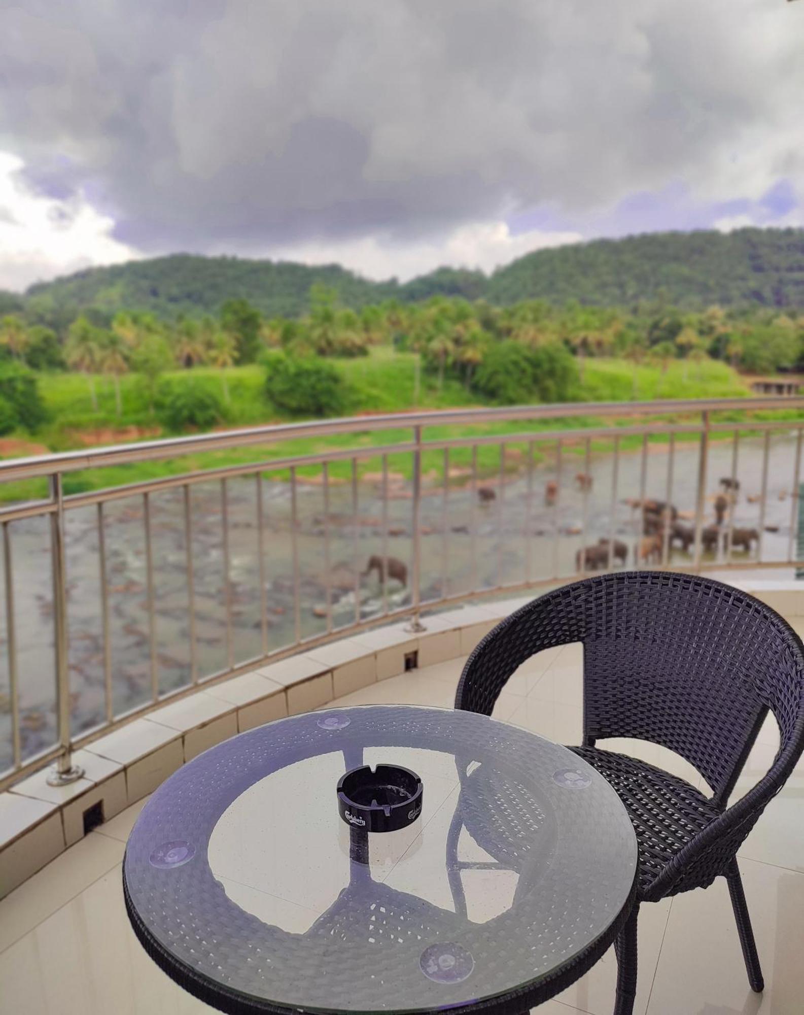 Hotel Elephant Park - New Deal! Half Off Airport Pickups Available Pinnawala  Eksteriør bilde
