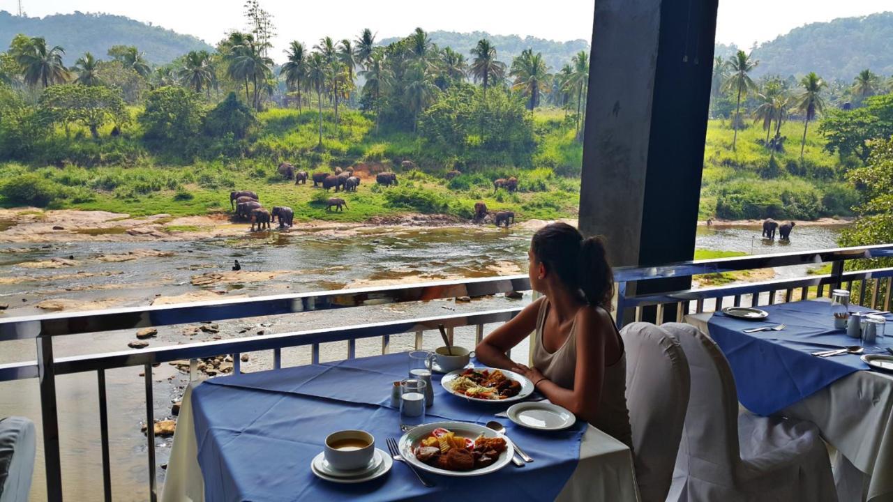 Hotel Elephant Park - New Deal! Half Off Airport Pickups Available Pinnawala  Eksteriør bilde