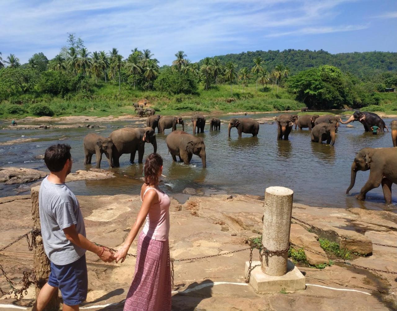 Hotel Elephant Park - New Deal! Half Off Airport Pickups Available Pinnawala  Eksteriør bilde