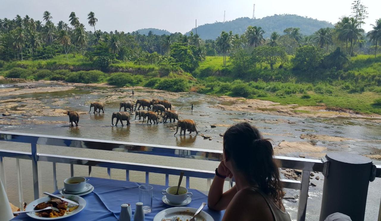 Hotel Elephant Park "Grand Royal Pinnalanda" Pinnawala  Eksteriør bilde