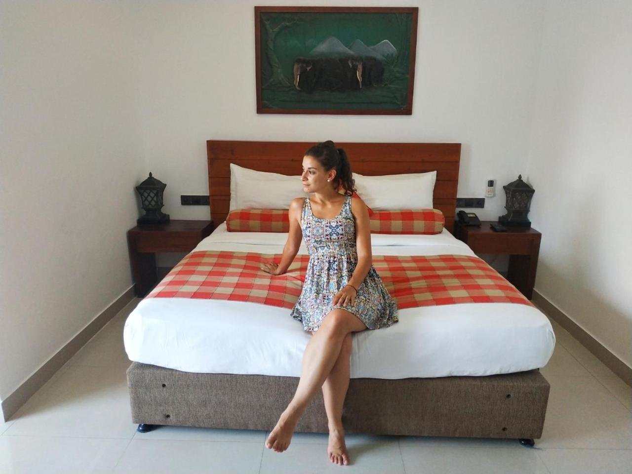 Hotel Elephant Park - New Deal! Half Off Airport Pickups Available Pinnawala  Eksteriør bilde