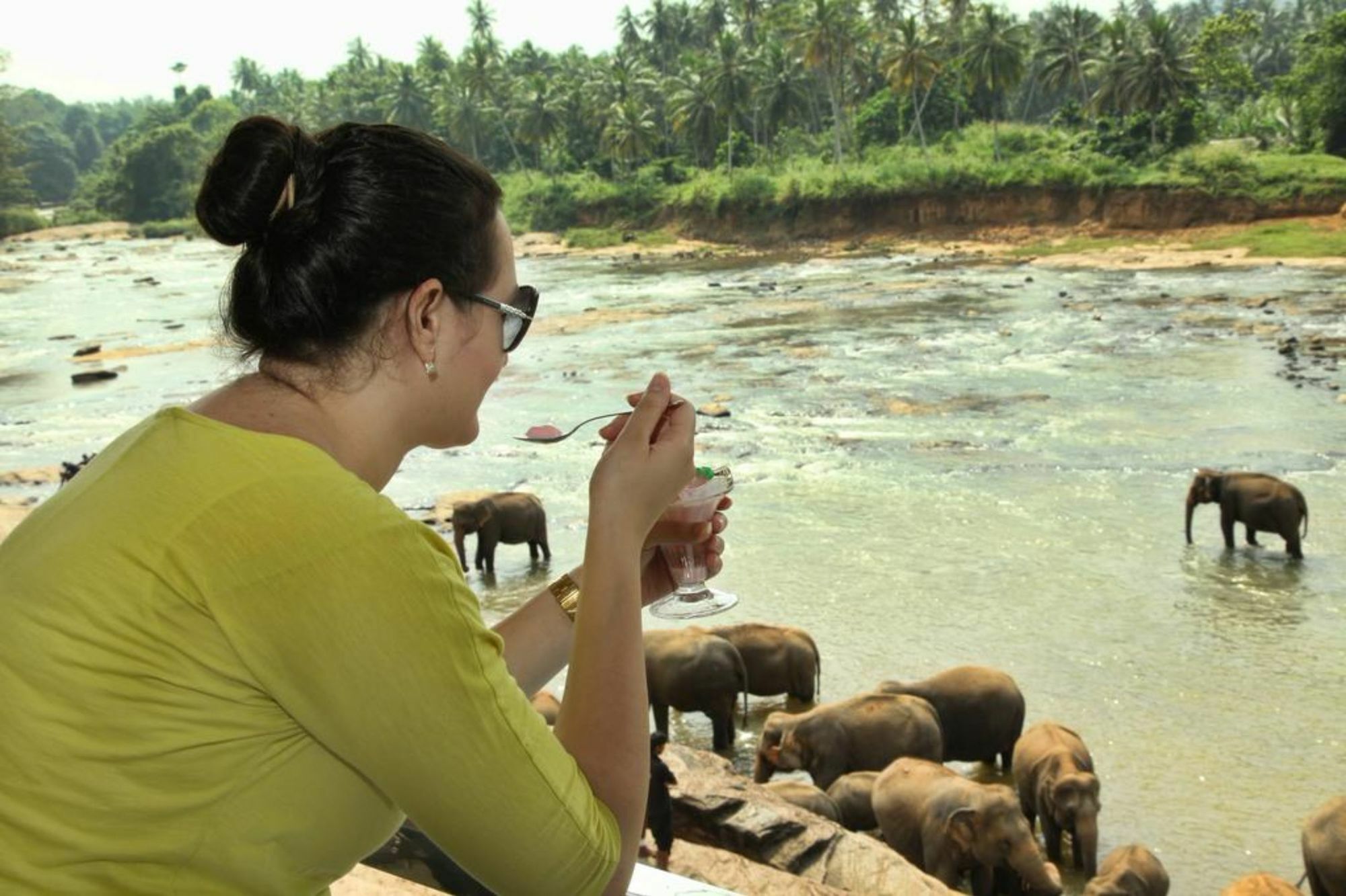 Hotel Elephant Park - New Deal! Half Off Airport Pickups Available Pinnawala  Eksteriør bilde