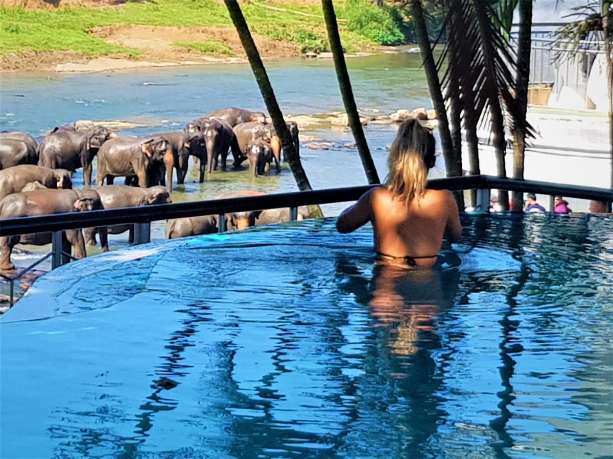 Hotel Elephant Park - New Deal! Half Off Airport Pickups Available Pinnawala  Eksteriør bilde