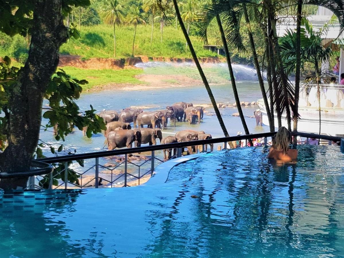 Hotel Elephant Park "Grand Royal Pinnalanda" Pinnawala  Eksteriør bilde