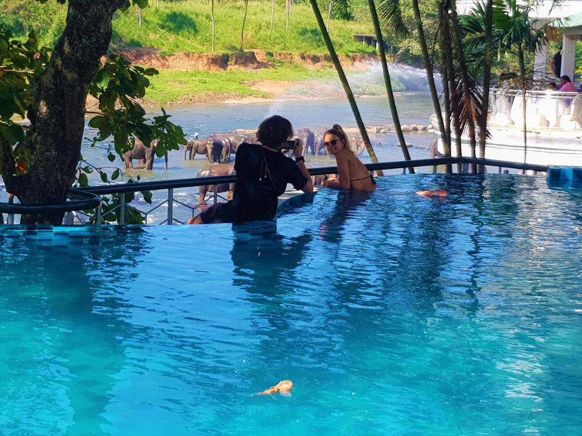 Hotel Elephant Park - New Deal! Half Off Airport Pickups Available Pinnawala  Eksteriør bilde